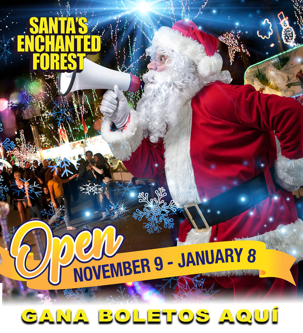 Gana un Family 4 Pack a Santa's Enchanted Forest