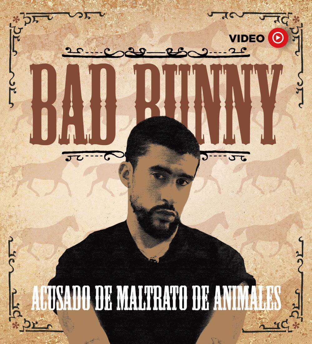 Bad Bunny accused of abusing animals
