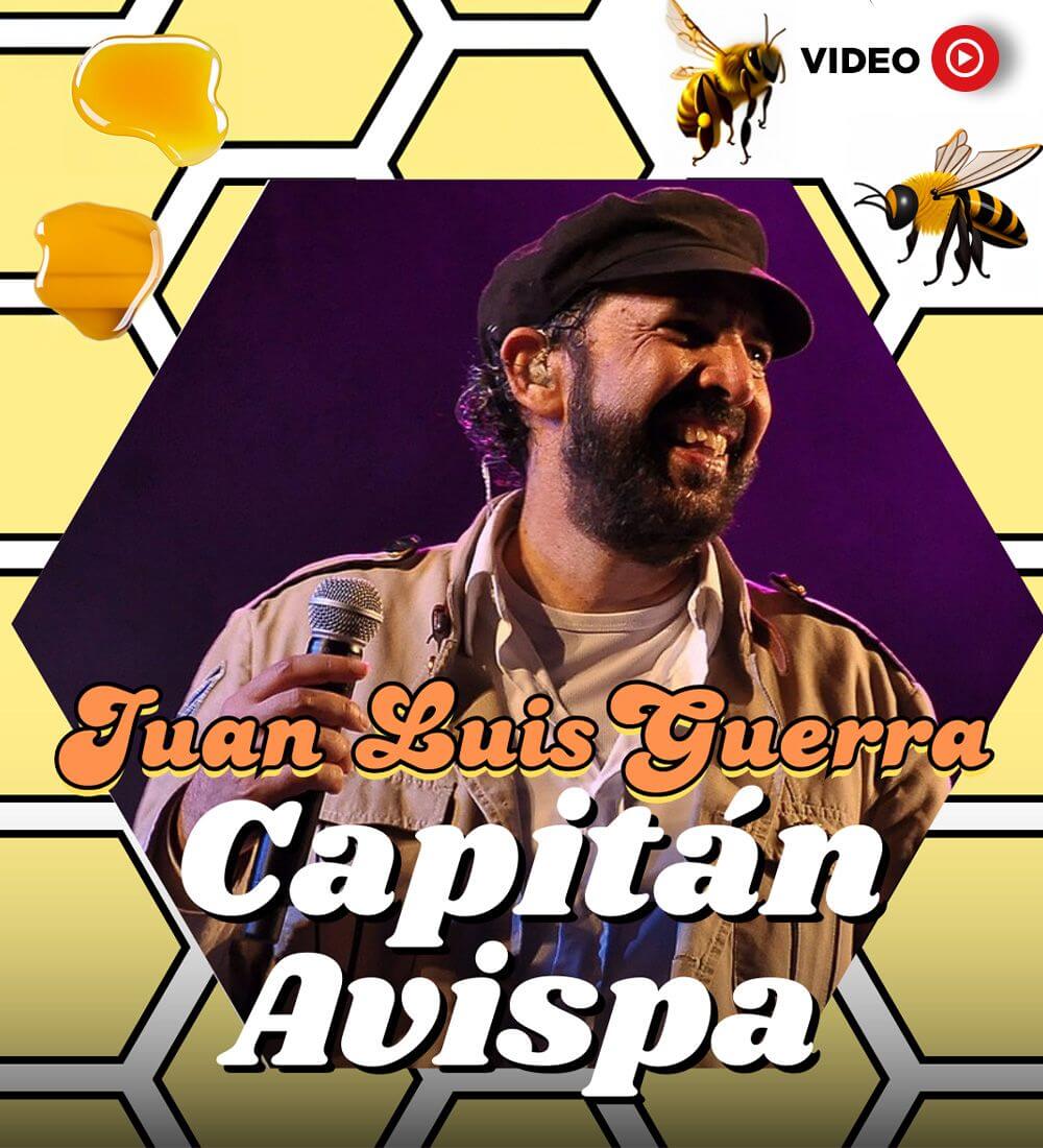 Juan Luis Guerra Capitán Avispa