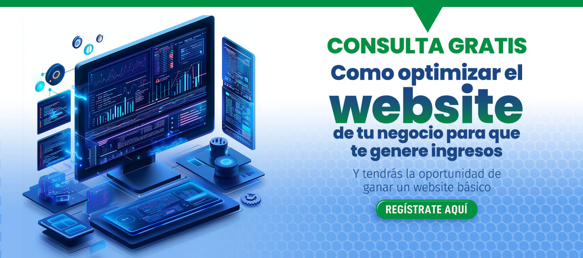Consulta Gratis para Optimizar tu Website